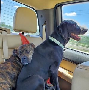 Meet your Posher, Bryan